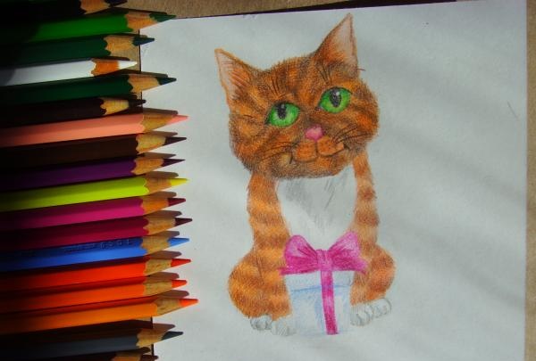 color the cat