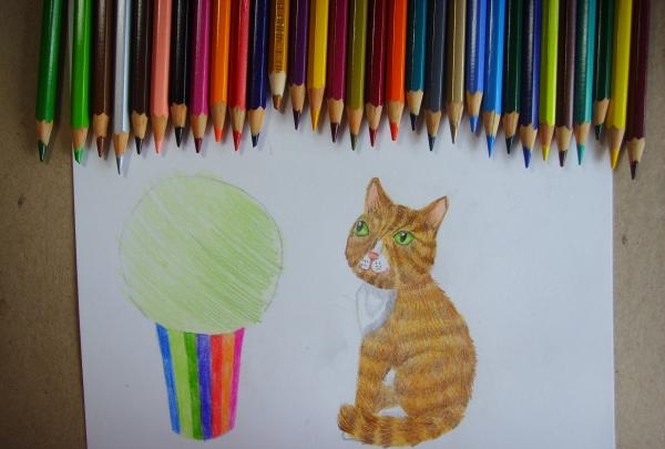 decorar el gato