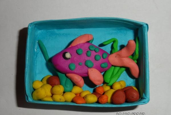 sätta en fisk i akvariet