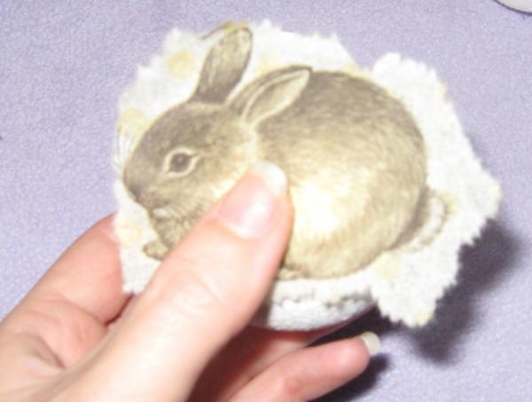 Fragment mit einem Kaninchen