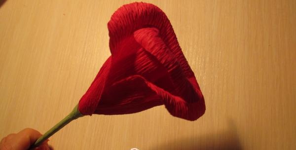 Forming a rose bud