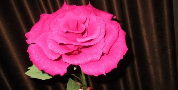 gofrētā papīra roze