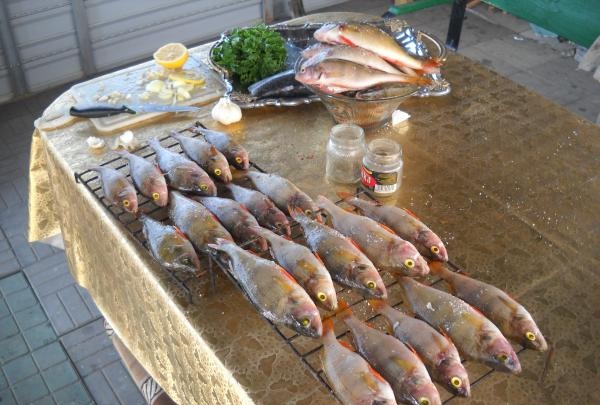 Horúce údené ryby s plnkou