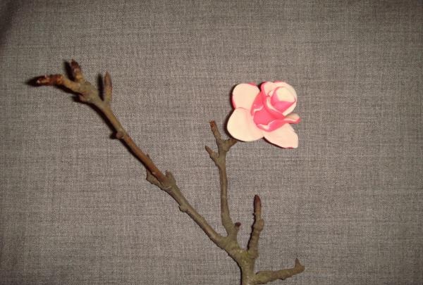 ramita de magnolia