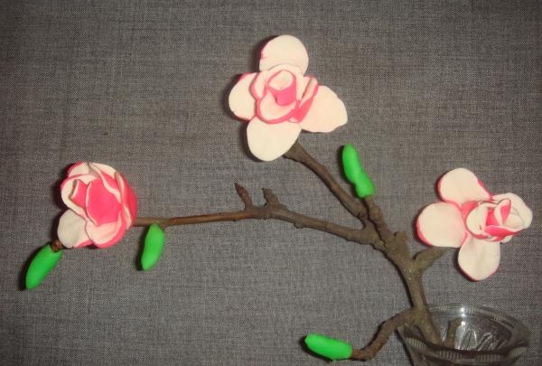 ramita de magnolia