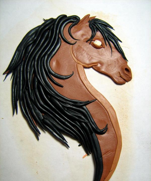 magnet na hlavu koňa