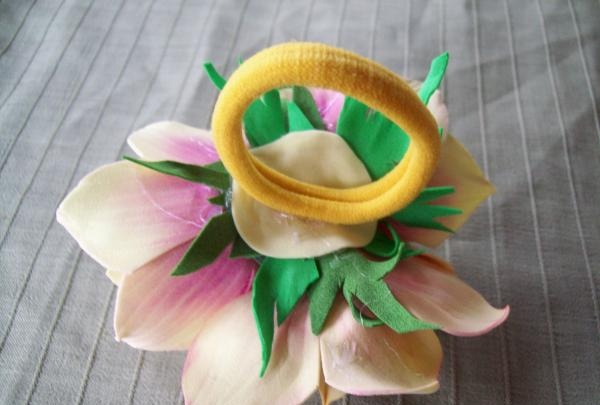 gum anemone