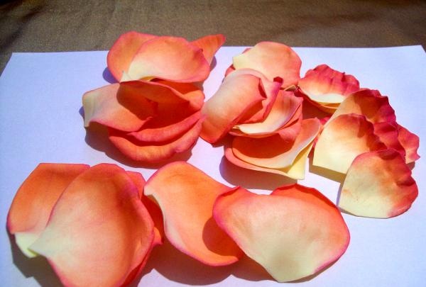 petale de trandafir rămase