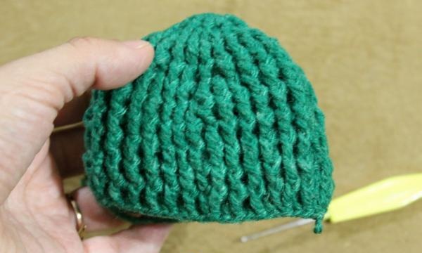 Cactus fleuris au crochet