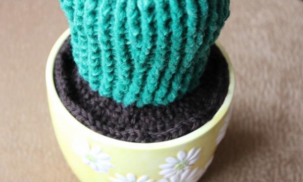 Cactus fleuris au crochet