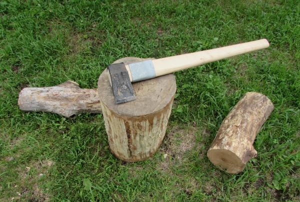 כיצד לחתוך עצים בצורה נכונה