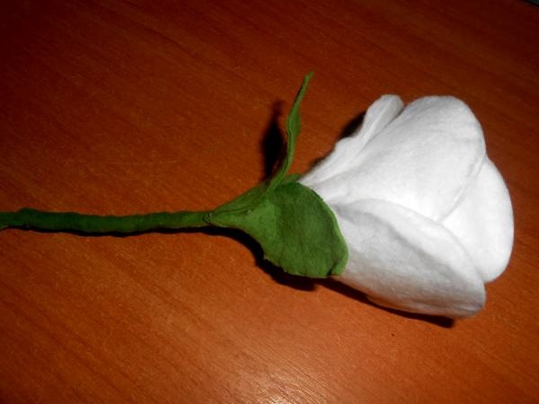 Mga rosas na gawa sa cotton pad