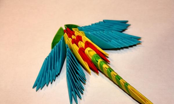 origami modulaire libellule
