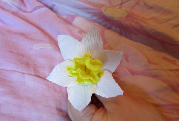 bouquet de jonquilles en papier ondulé