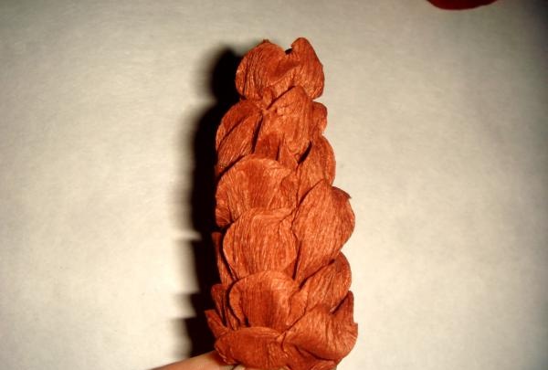 Spruce branch with cones