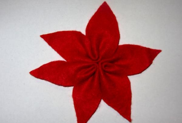 floare poinsettia