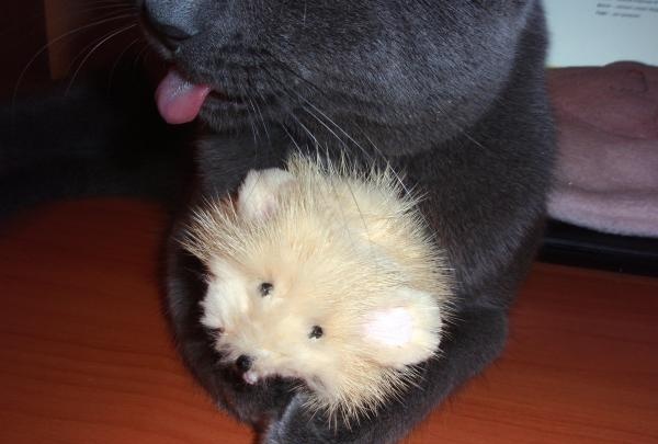 Ratón de peluche para gato