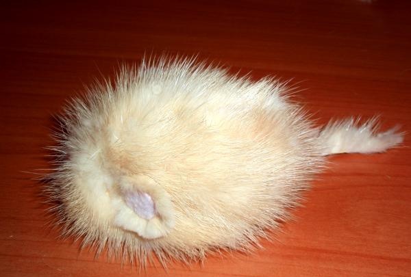 Fur mouse toy for cat