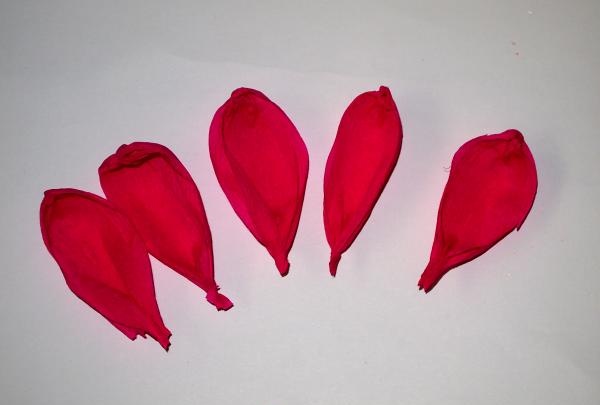 buket tulipana od valovitog papira