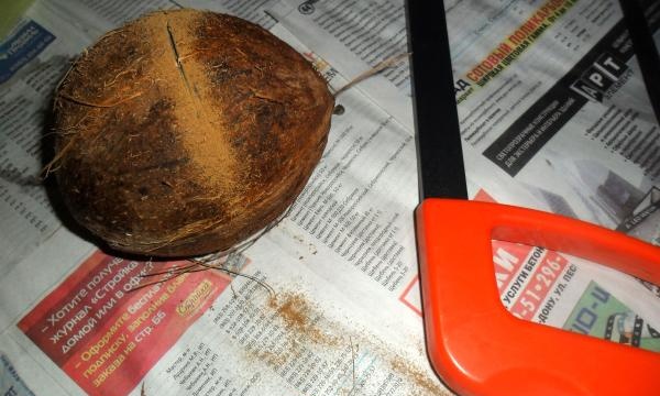Cómo hice aceite de coco
