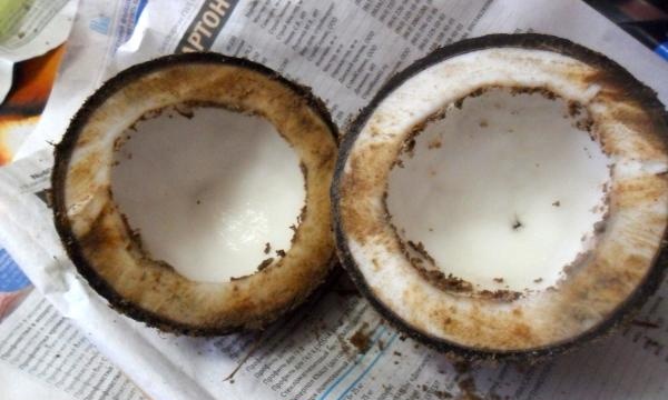 Hvordan jeg lagde kokosolje