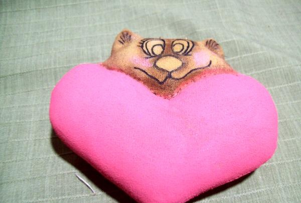 trái tim mèo vải
