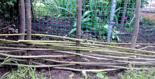 DIY plot z proutí