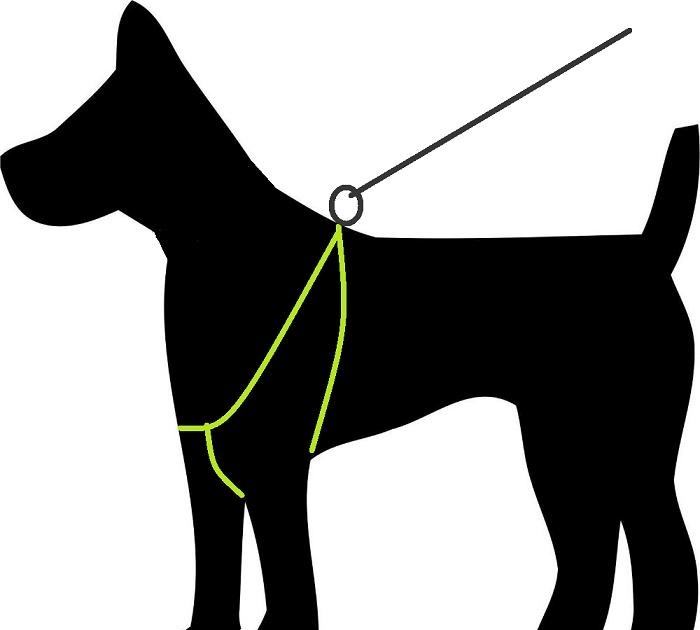 Soft dog harness