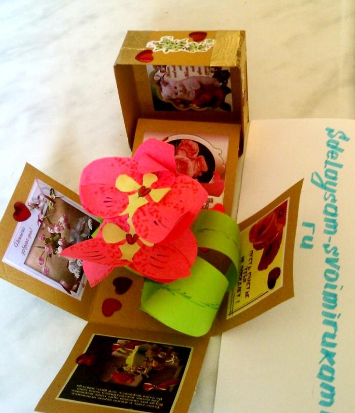 Kutija iznenađenja za orhideje