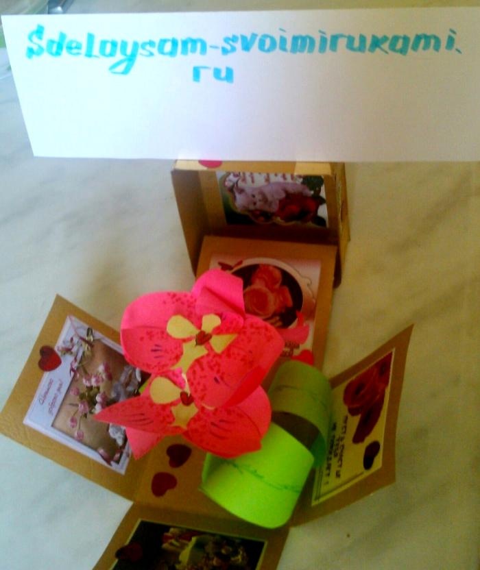 Caja sorpresa de orquídeas