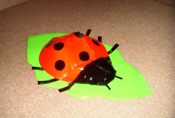 Kumbang kumbang