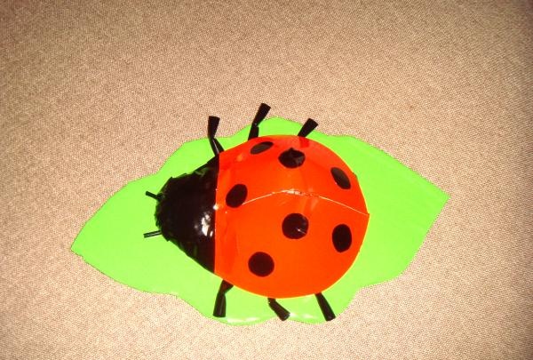 Ladybug