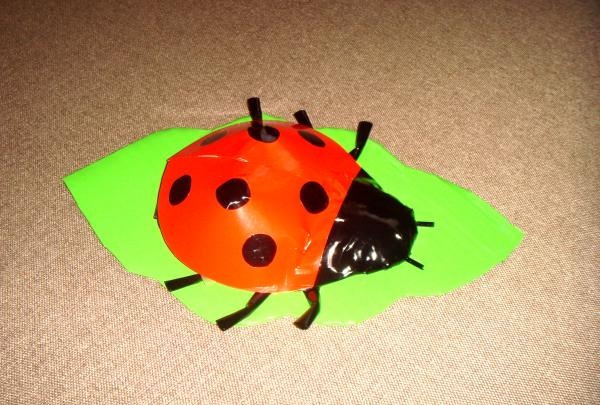 Ladybug