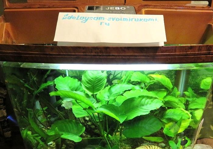 Réparer l'éclairage d'un aquarium