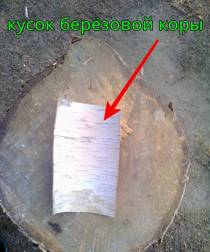 Birch bark knife case