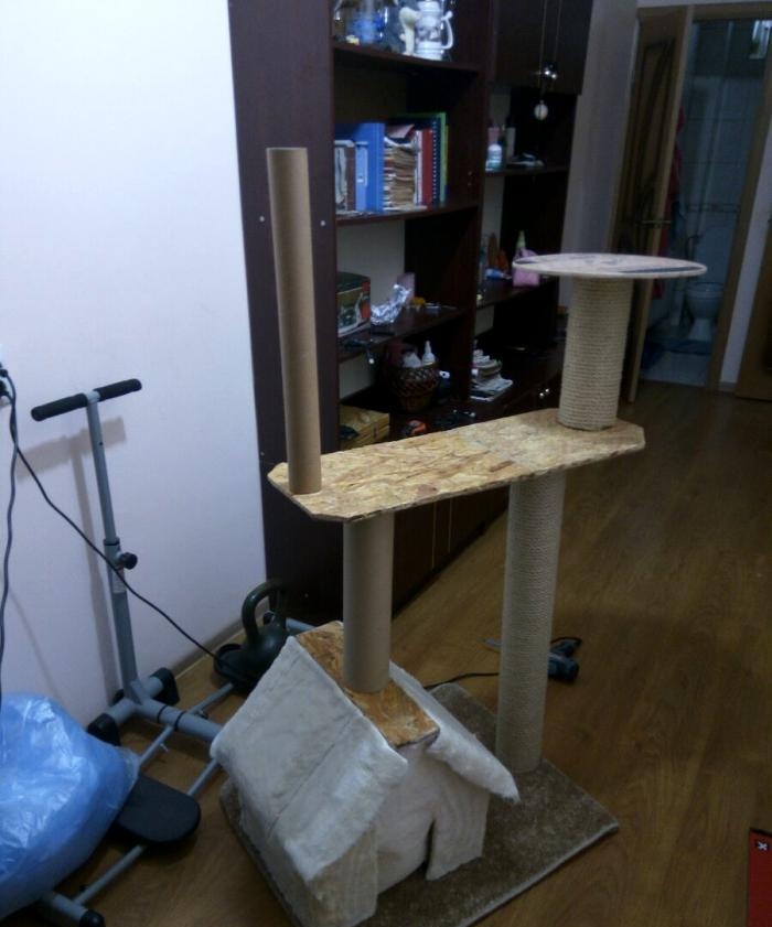 Jak vyrobit kočičí dům