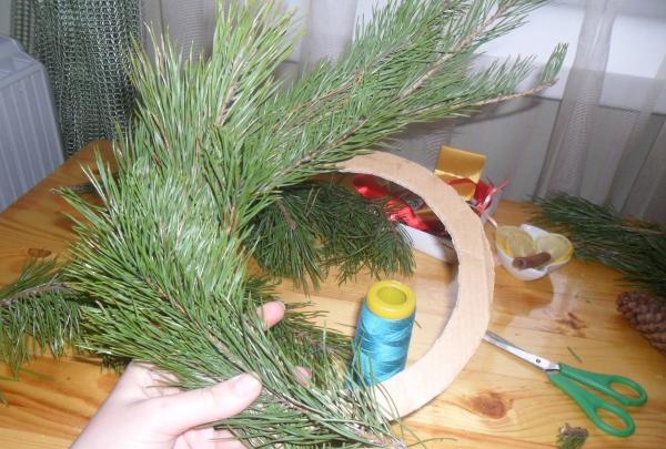 branches are placed on the cardboard