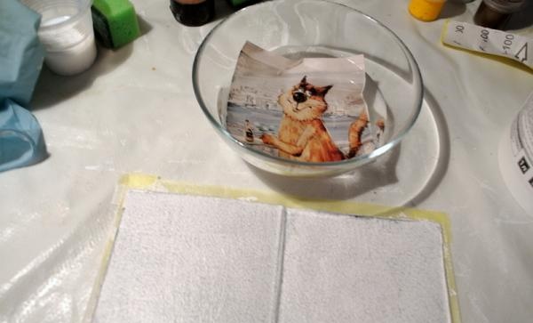 Dyp katten i en skål