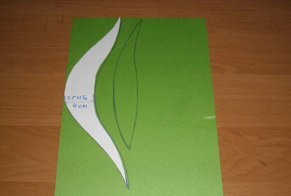carton verde