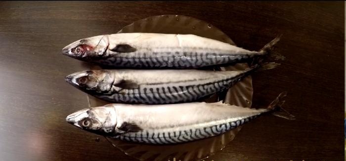 Cooking mackerel by cold smoking