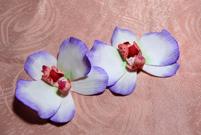 Майсторски клас за скоби за орхидеи