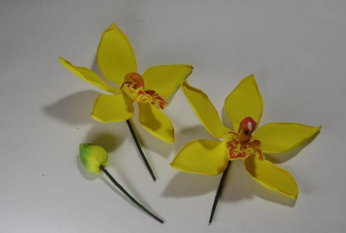 Master class on orchid sprigs