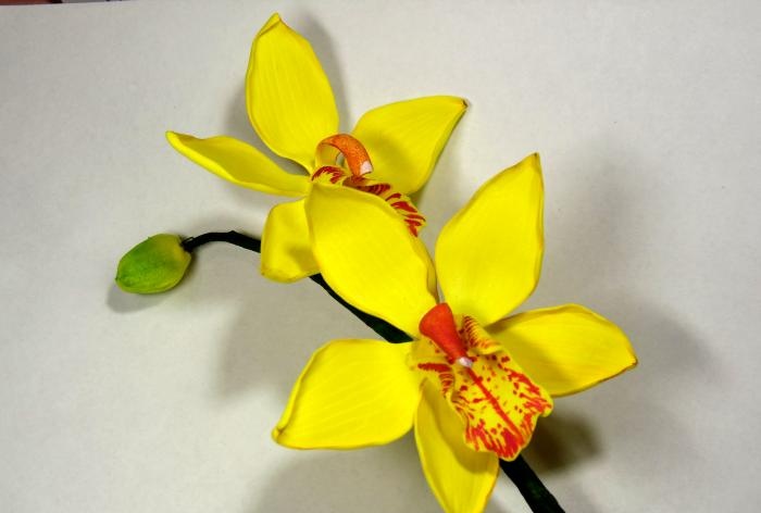 Orchidėjų šakelių meistriškumo klasė