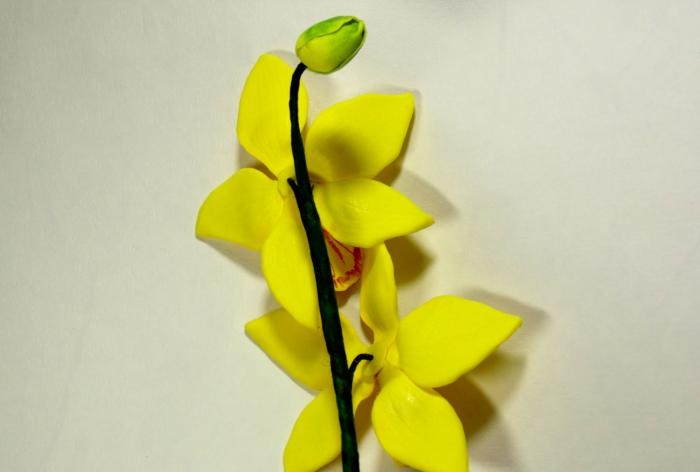 Майсторски клас на клонки от орхидеи