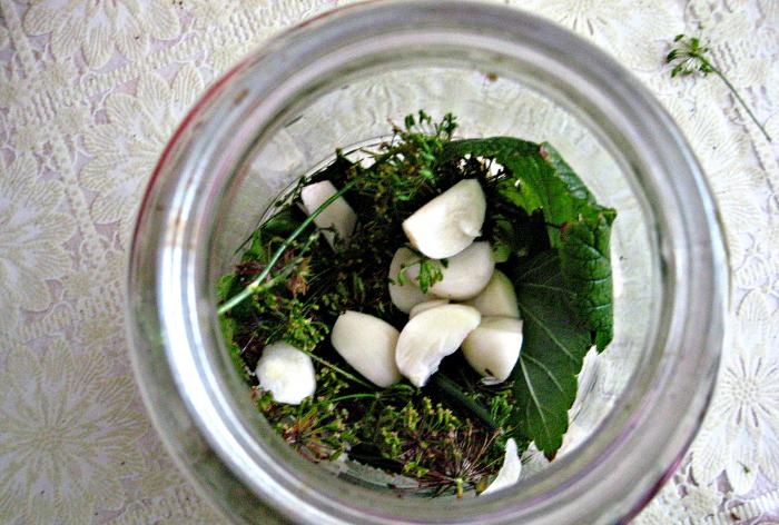 Conservare i cetrioli
