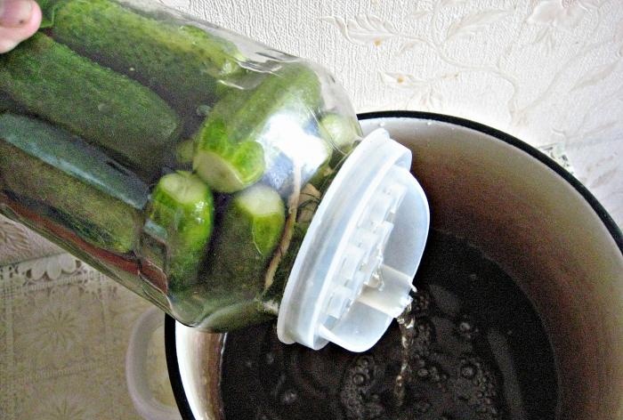 Canning cucumbers