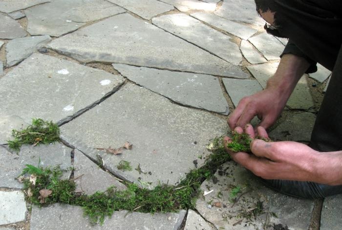 Col·locació del lloc amb pedra arenisca