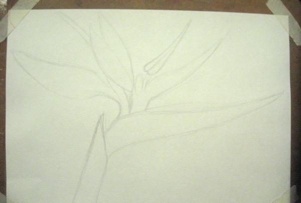 desenhe uma flor