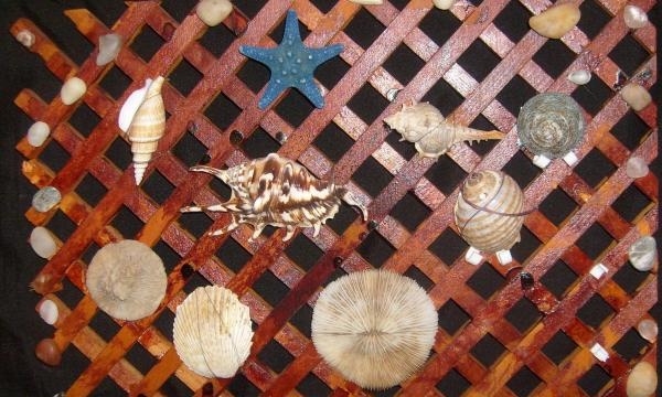 decoración de la pared de conchas