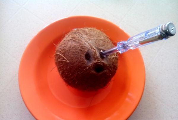doorboor de bruine kokosnoot met een schroevendraaier